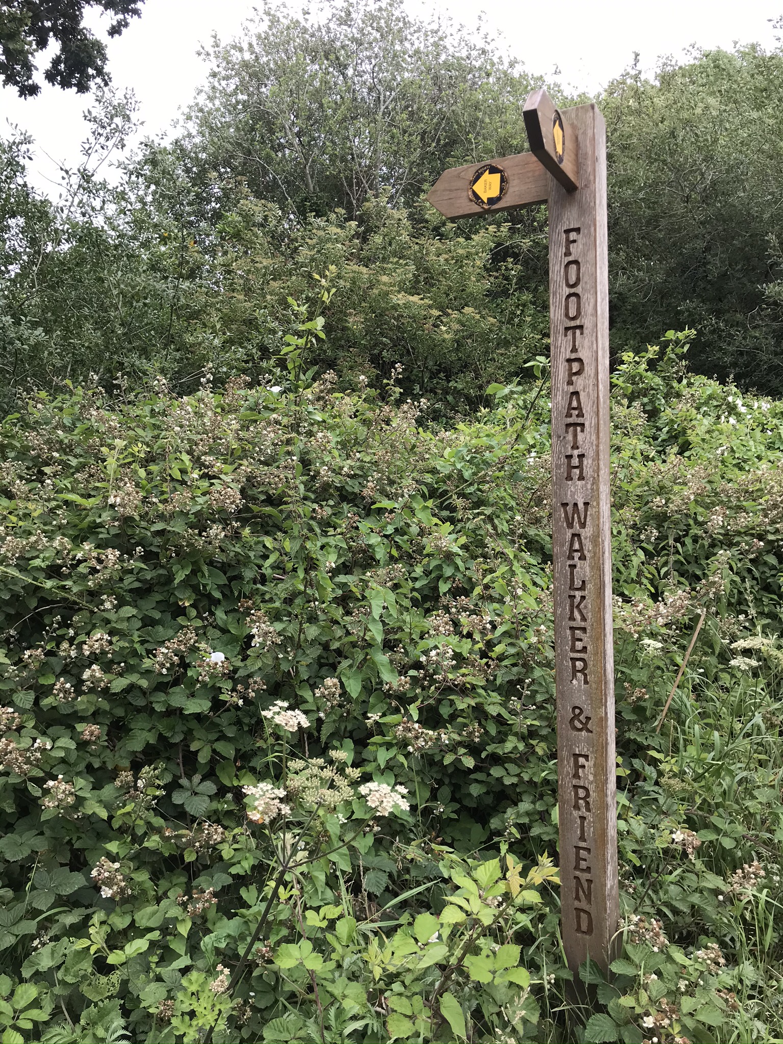 A wooden footpath sign in front of trees and bushes with the words "footpath walker & friend" carved in it