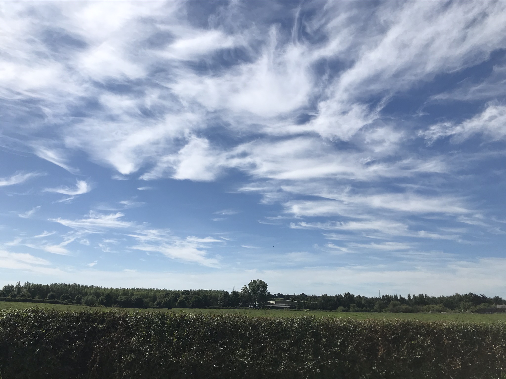 High whispy clouds in a blue sky above a neat field hedge