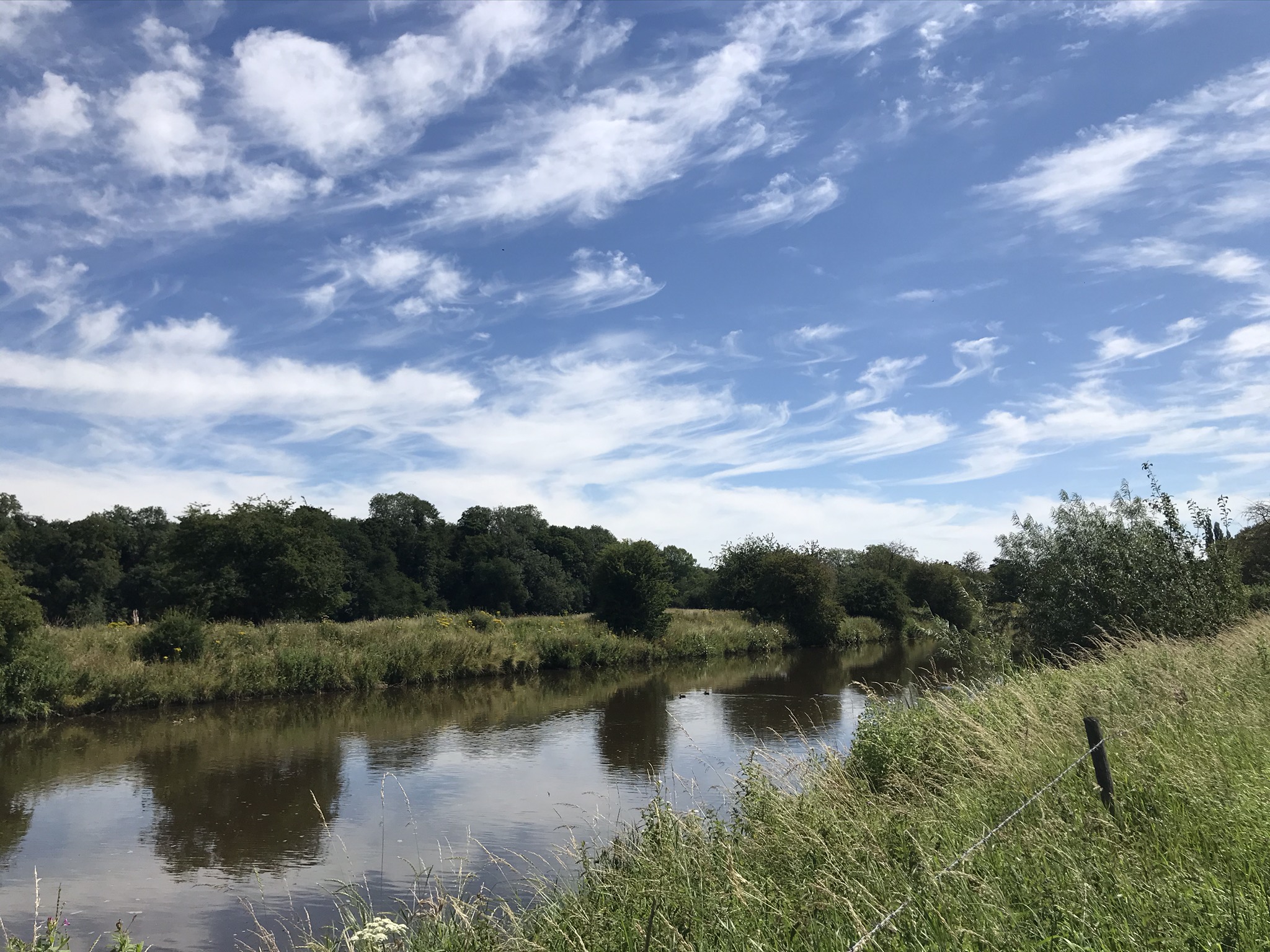 rough grass banks either side of a wide river with woods in the distance