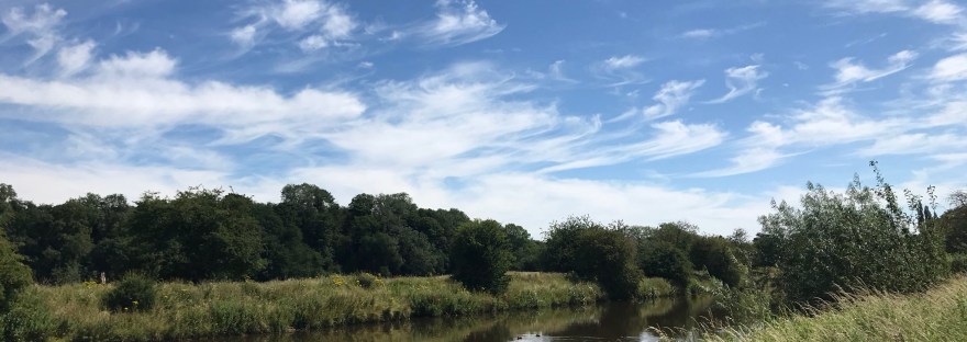 rough grass banks either side of a wide river with woods in the distance