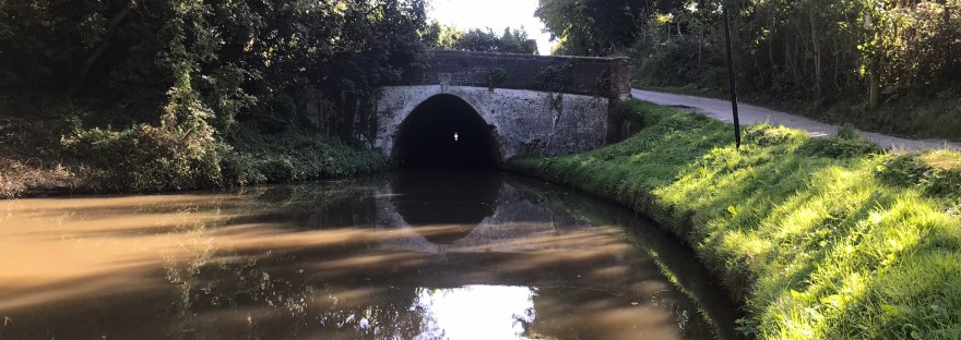 An arched canal tunnel entrance surrounded by trees with a grass bank and road on the right hand side