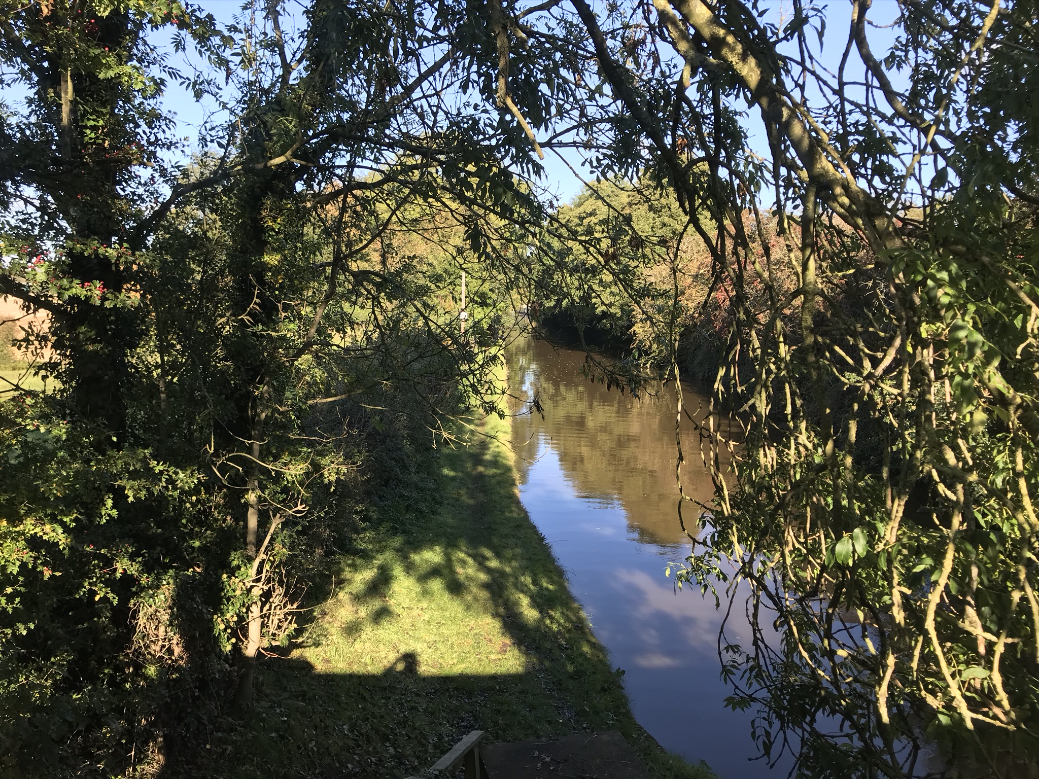 A view of the canal from the top of steps leading down to a grassy towpath. The blue sky can be seen through overhanging trees.