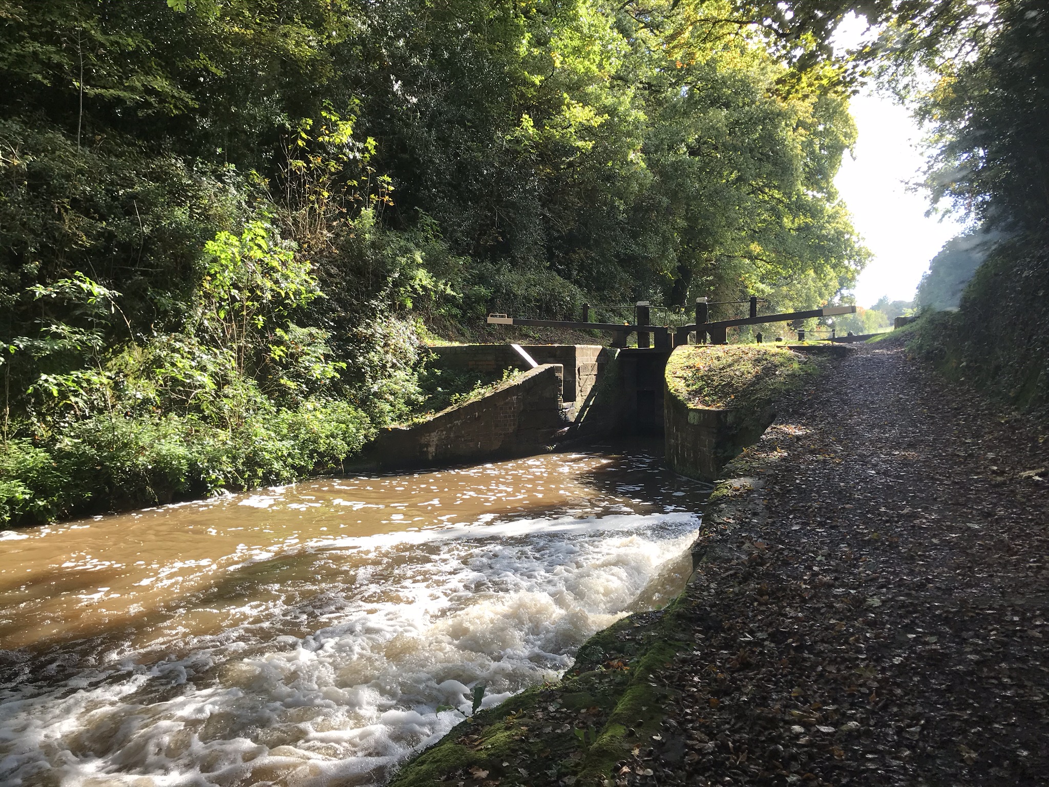 White water rushing out a sluice in front of a closed canal lock. The canal is in a cutting and sunning is glinting through the tall leafy trees in the background
