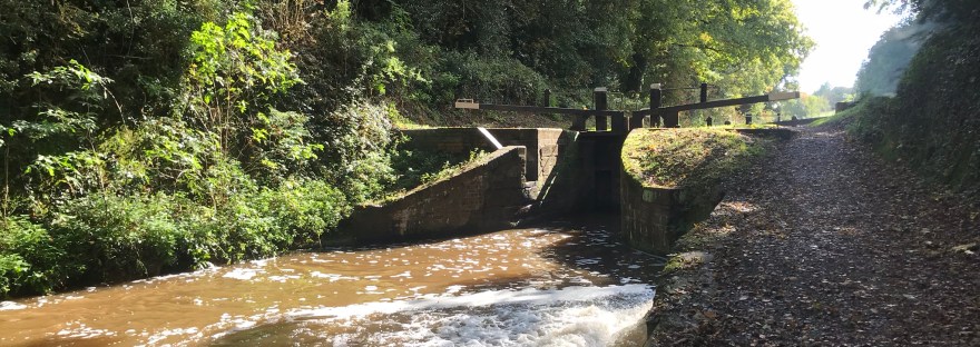 White water rushing out a sluice in front of a closed canal lock. The canal is in a cutting and sunning is glinting through the tall leafy trees in the background