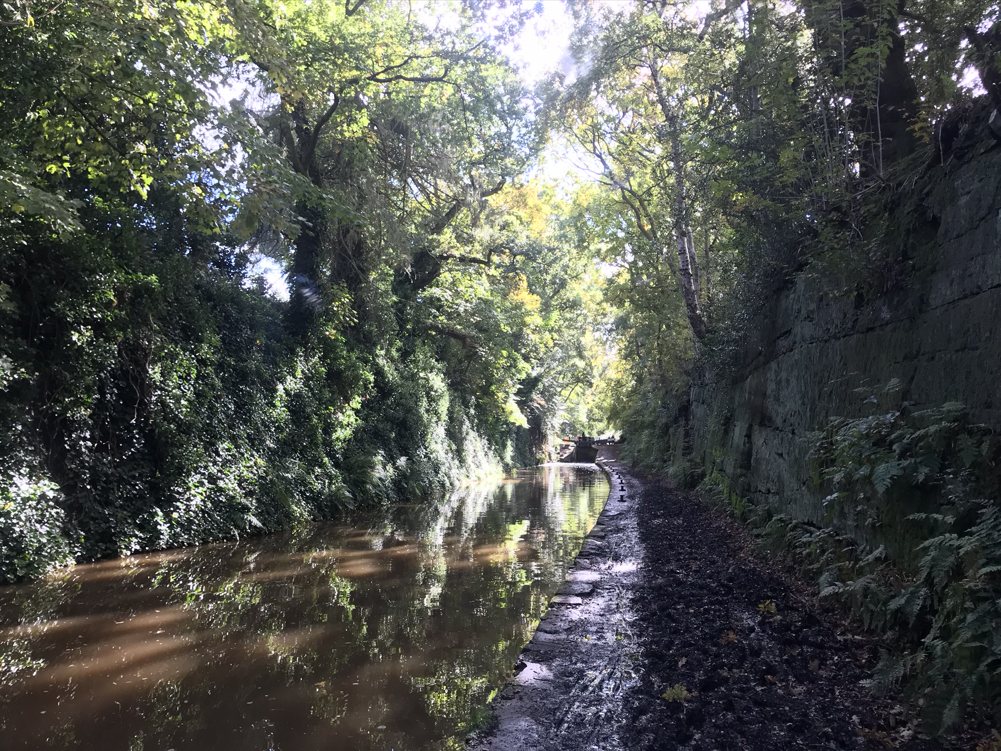 A muddy towpath next to a canal cut deep into the rock. Tall trees overhang the cutting and the sun is glinting through the trees creating patches of light on the brown water.