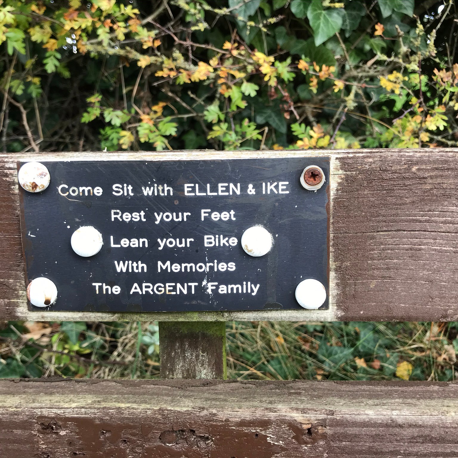 A black sign with white writing on the wooden back of a bench. It the background the hawthorn leaves in the hedge are starting to turn yellow. The sign says "Come Sit with ELLEN & IKE, Rest your Feet, Lean your Bike. With Memories, The ARGENT Family"