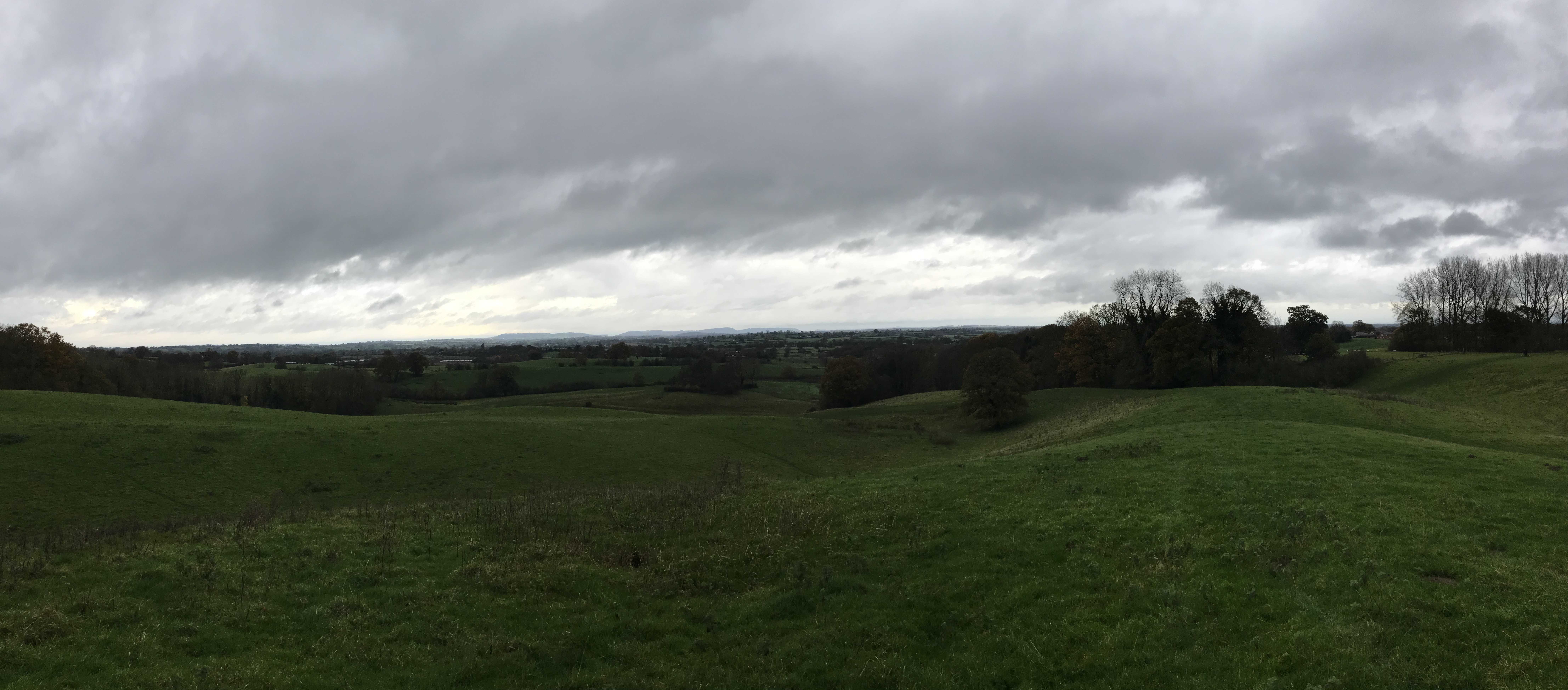 Rolling grassy land with low bare trees under a grey cloudy sky. In the far distance, silhouettes of hills can be seen on the horizon.