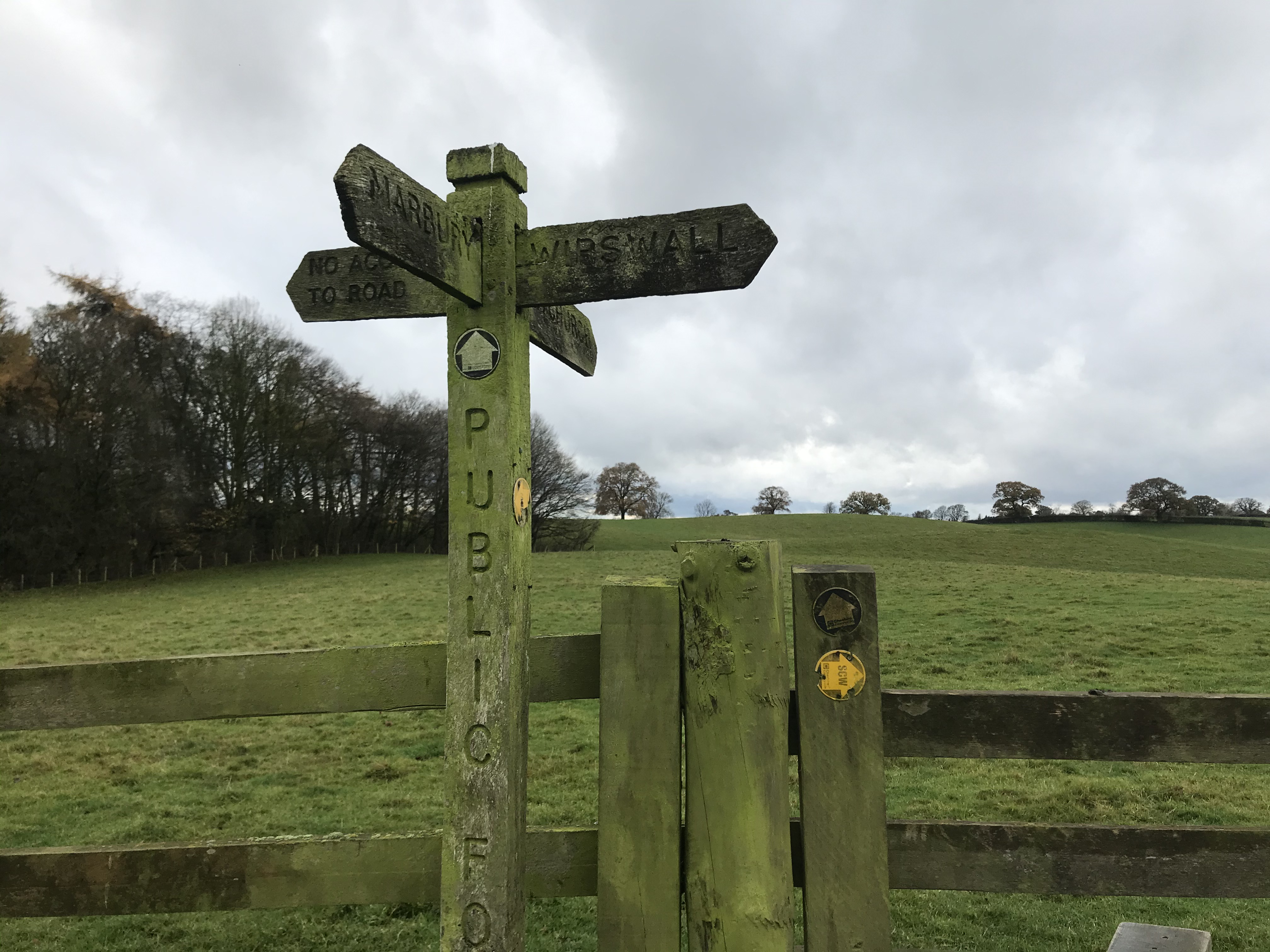 A four-finger timber signpost stands next to a fence. The sign shows Marbury is behind the camera and Wirswall to the right. There are yellow waymarks but everything is green with algae almost matching the colour of the grass in the field behind it.