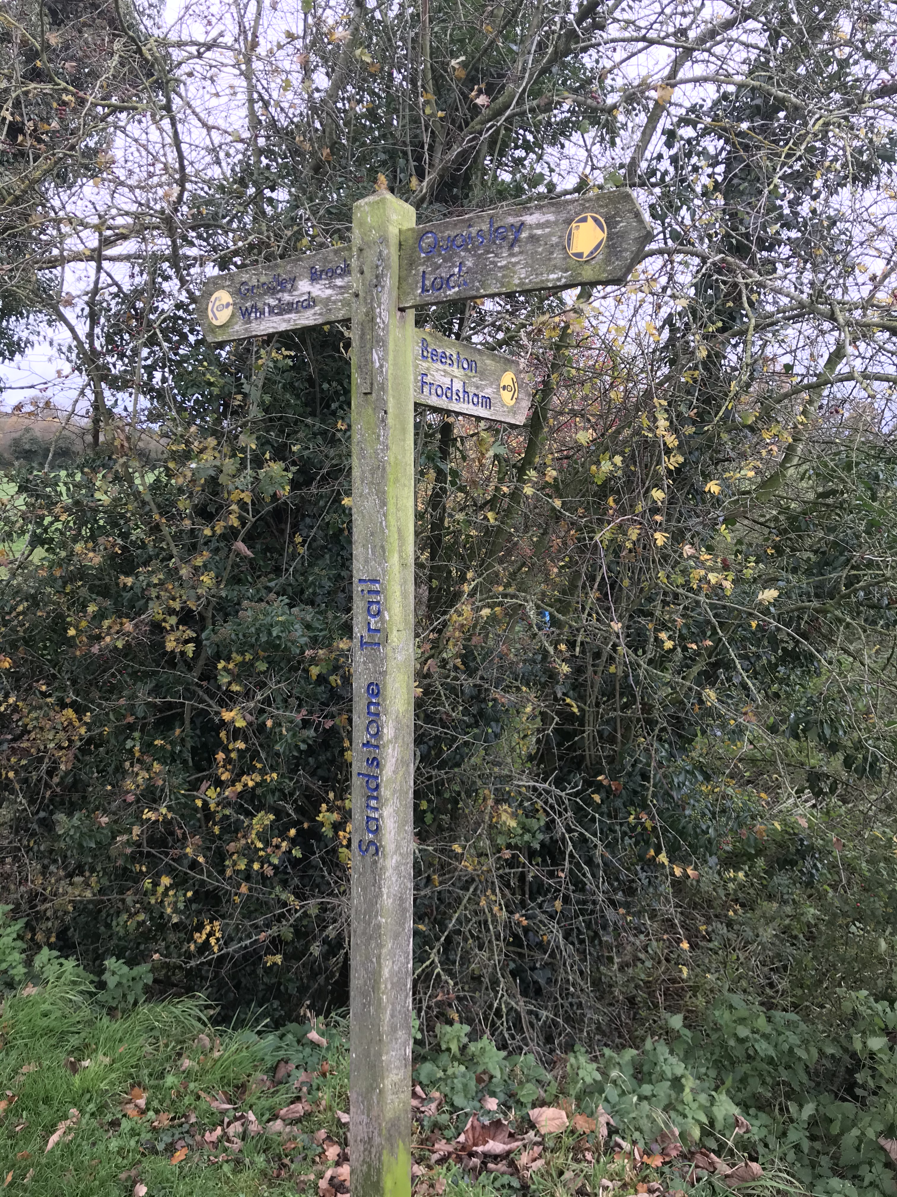 A three-finger timber signpost in front of a scrubby hedge. The words 'Sandstone Trail' are painted in blue on the post.