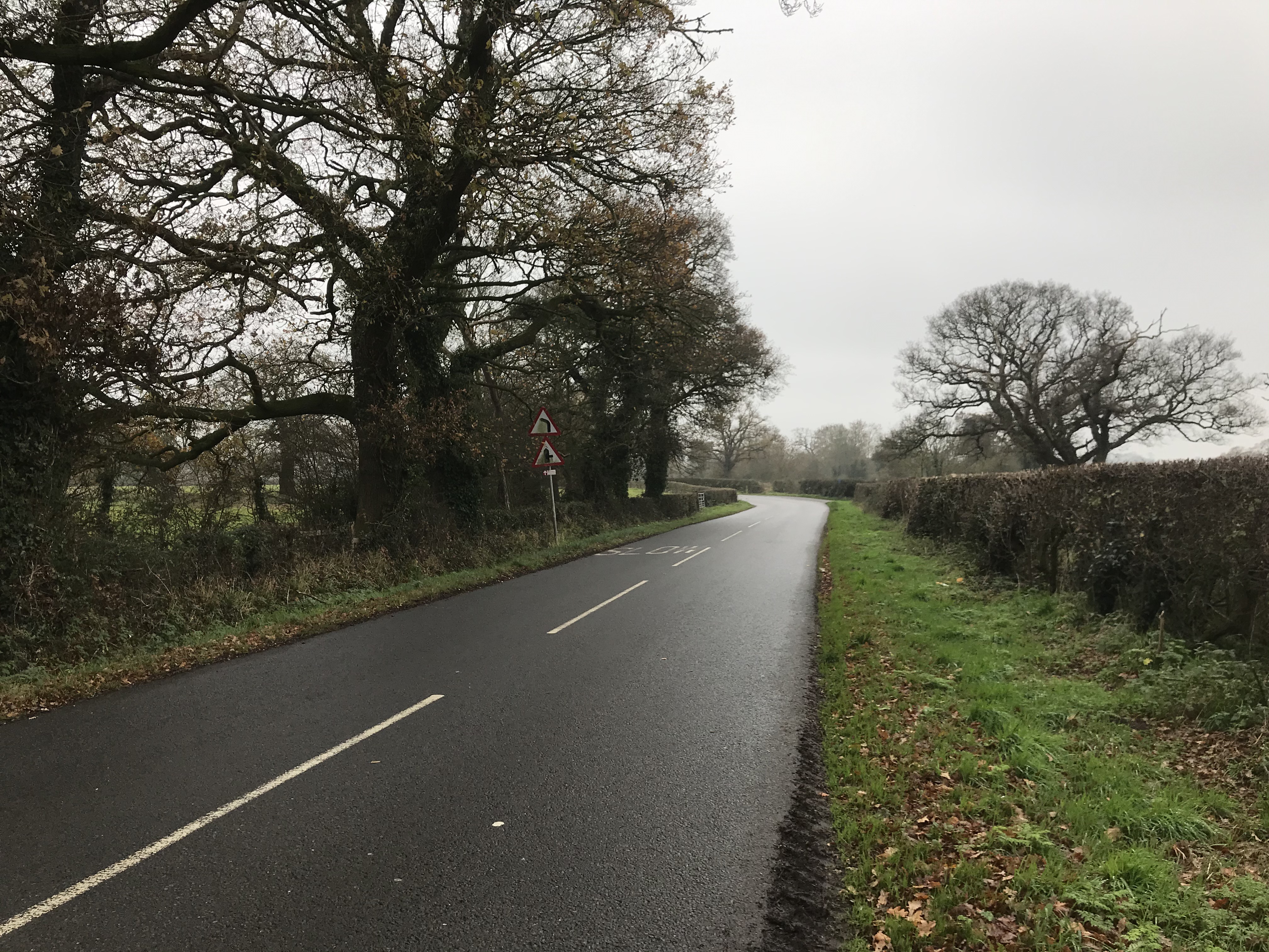A tarmac road with white lines down the middle and triangle warning road signs. The road bends to the left in the distance and there is a grass verge.