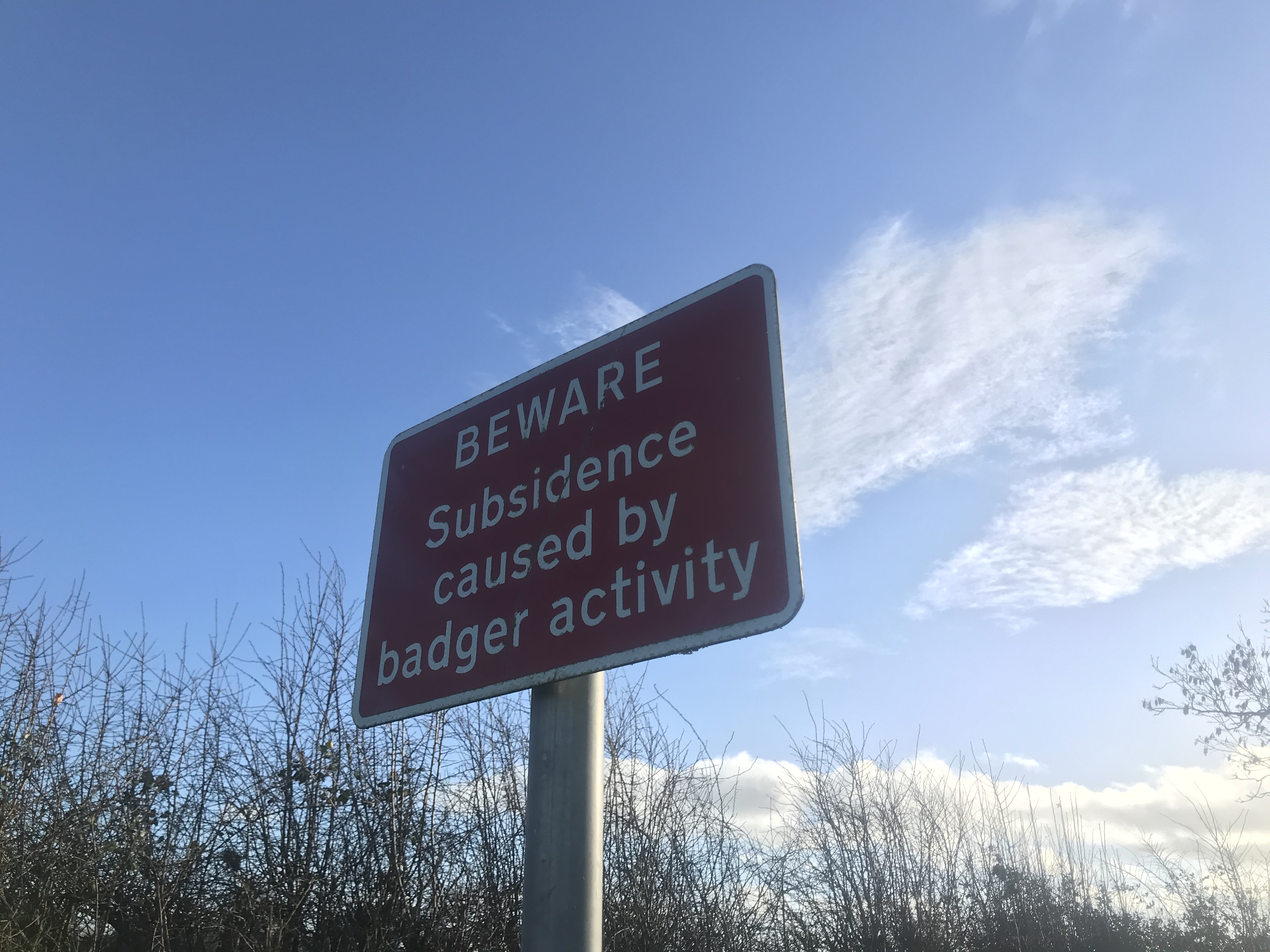 A red square warning sign against a blue sky. The white text says "BEWARE Subsidence caused by badger activity"