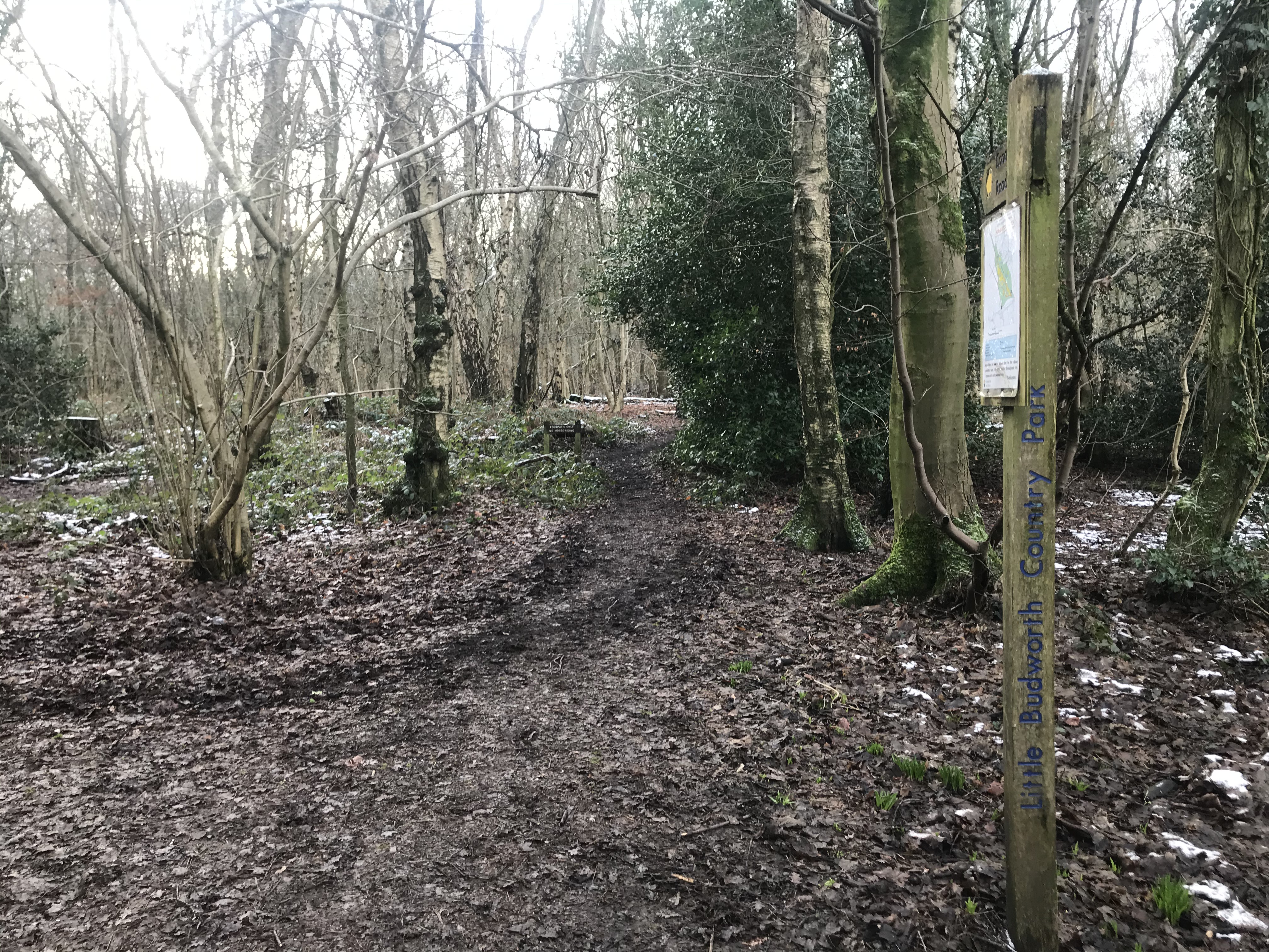 A muddy track through sparse scrubby woodland. There is a wooden signpost with "Little Budworth County Park" written on it. Around the base of the sign there are green shoots poking through the leafmould.