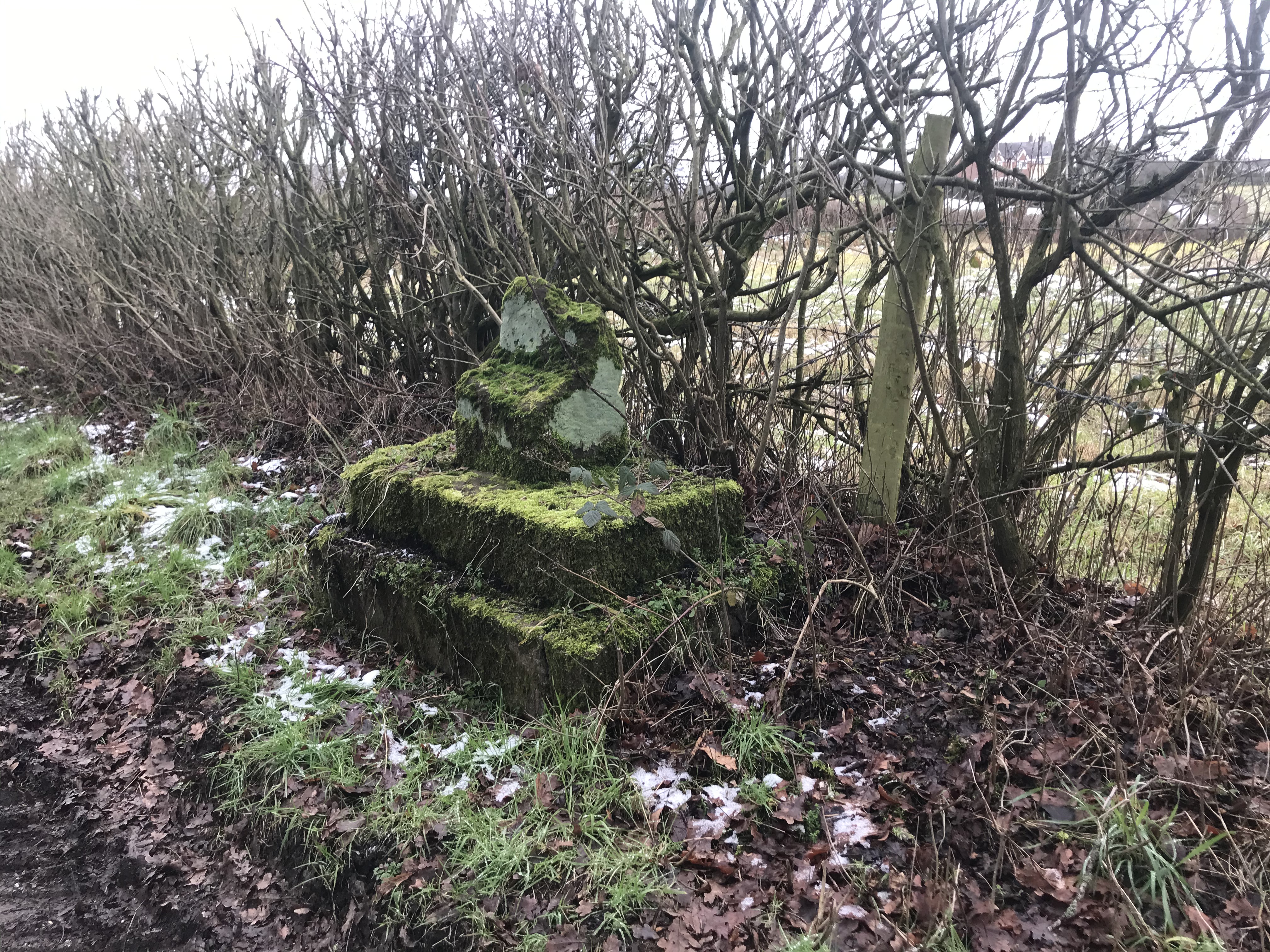 A broken, lichen and moss covered stone plinth on a grass verge in front of a hedge