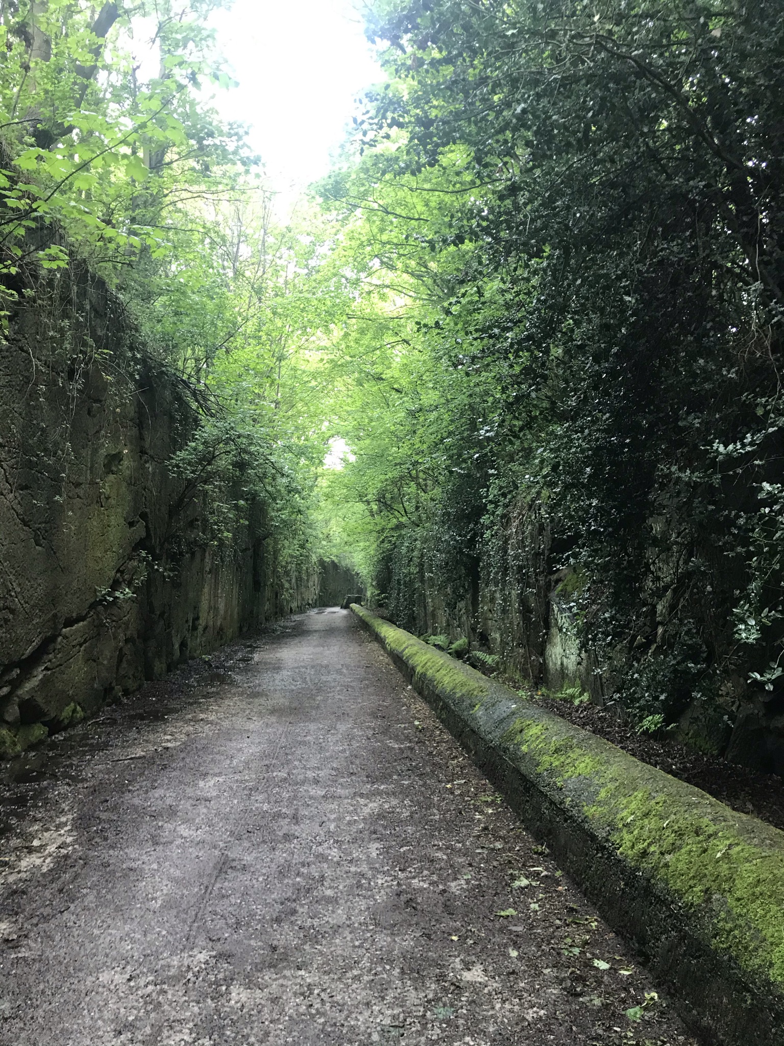 a wide path set deep in a cutting surrounded by trees