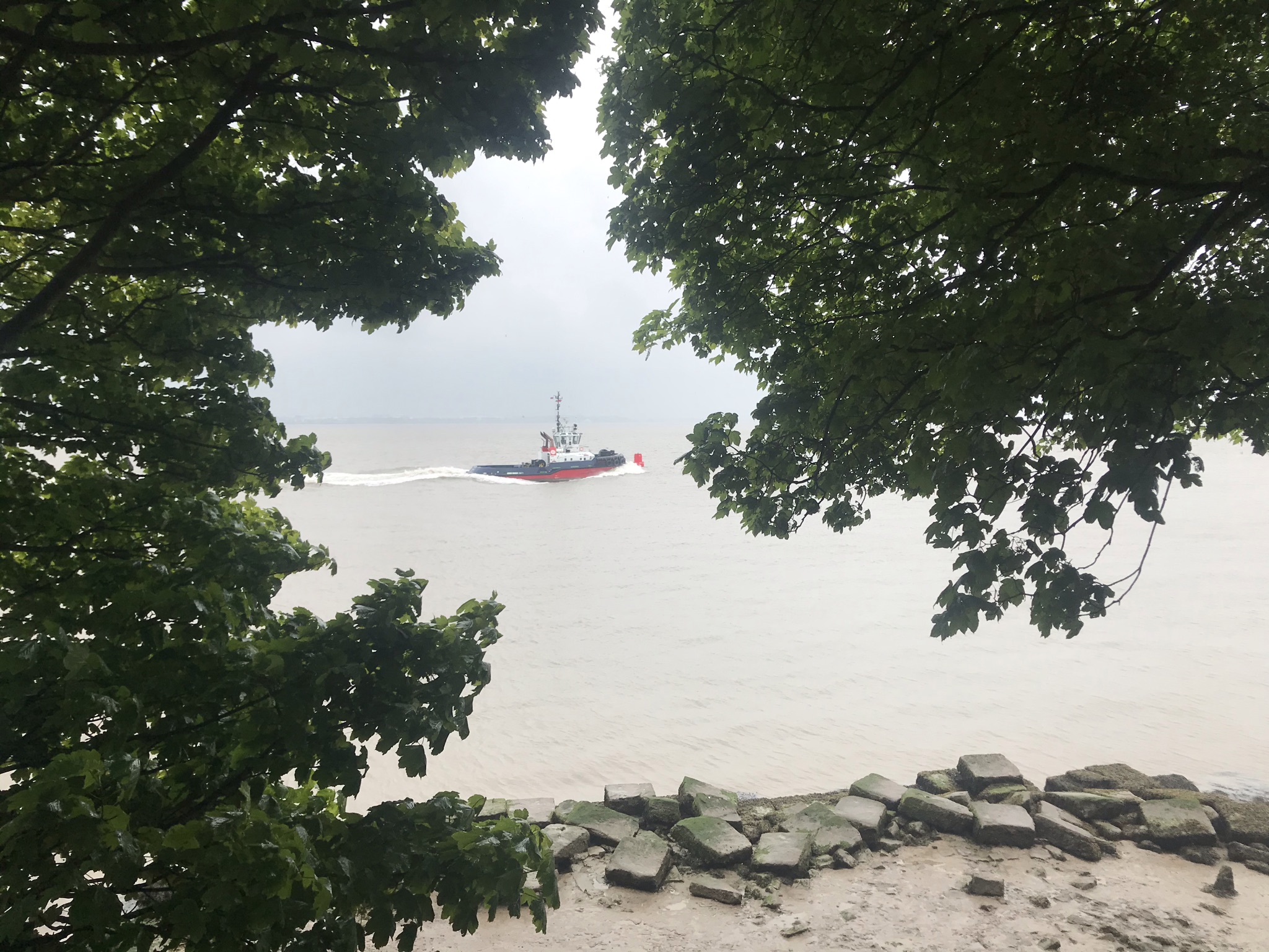 a view through trees of a tug boat on the Mersey