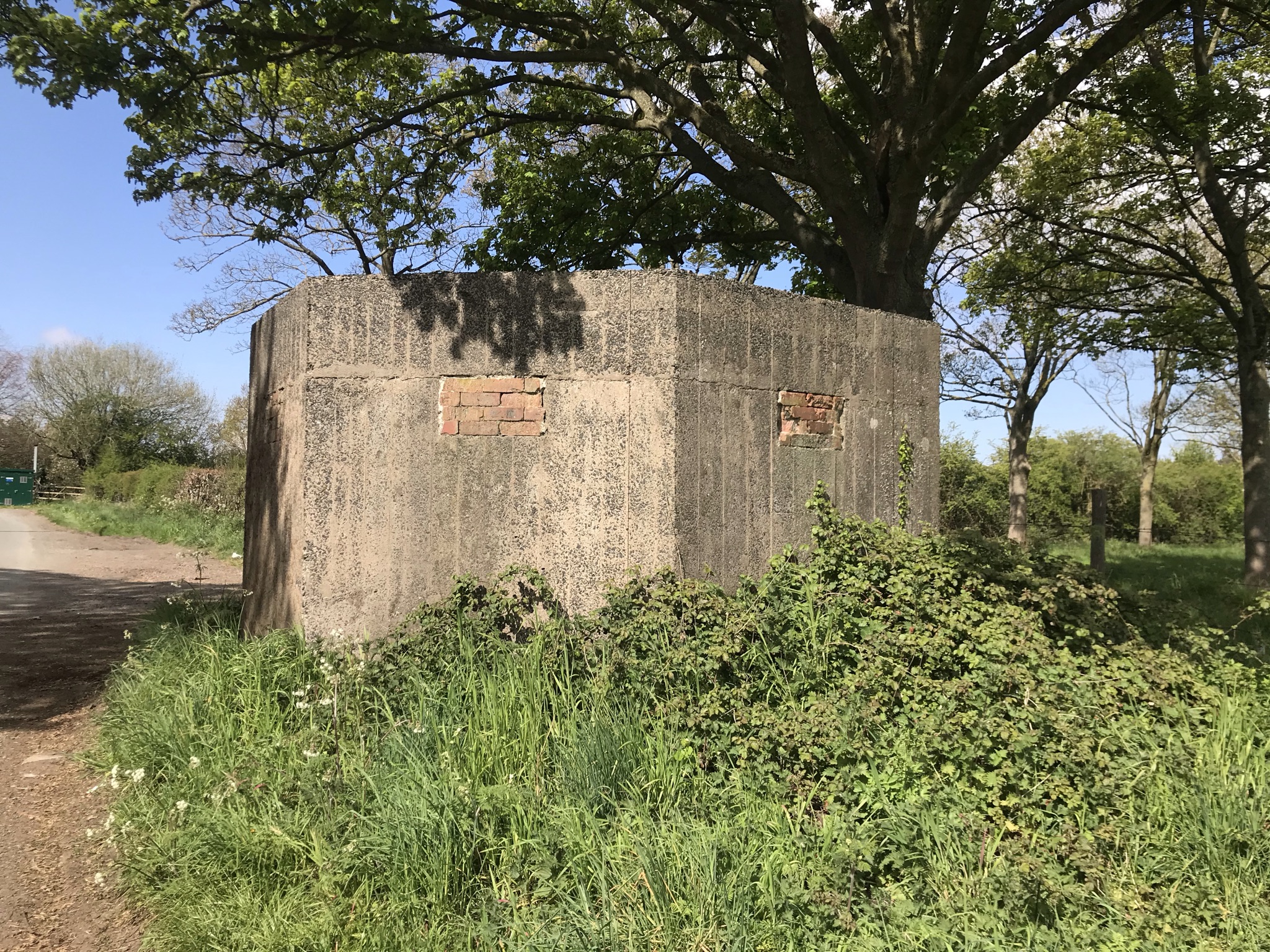 A concrete WW2 pill box under a large oak tree. The windows for the guns are bricked up.
