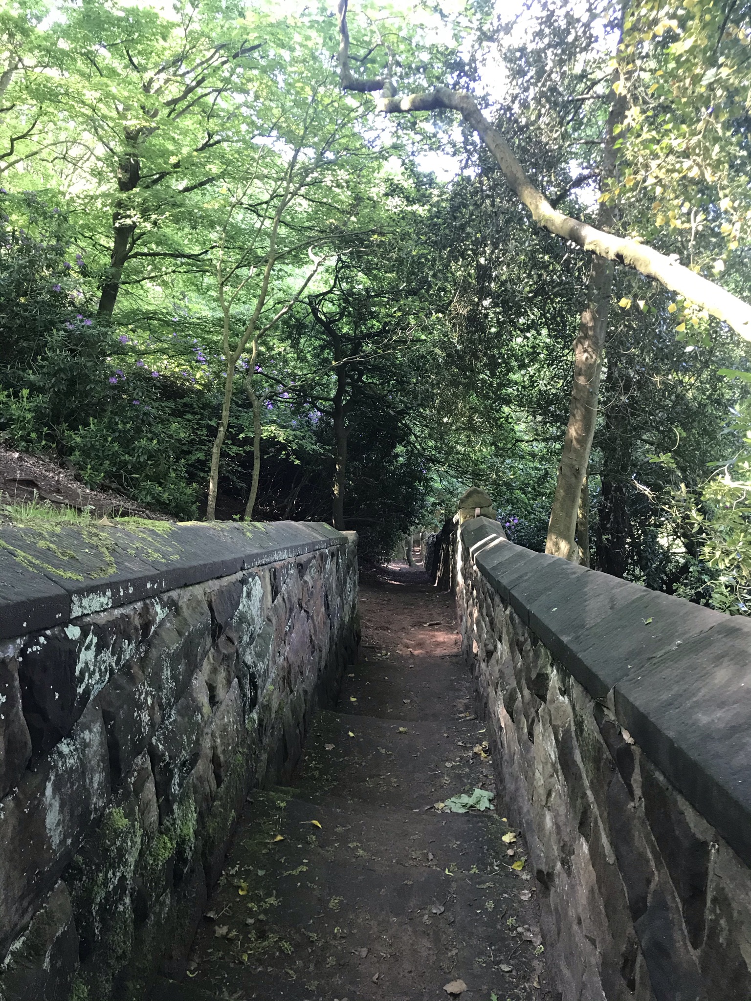 Stone steps between two big stone walls head down into the trees