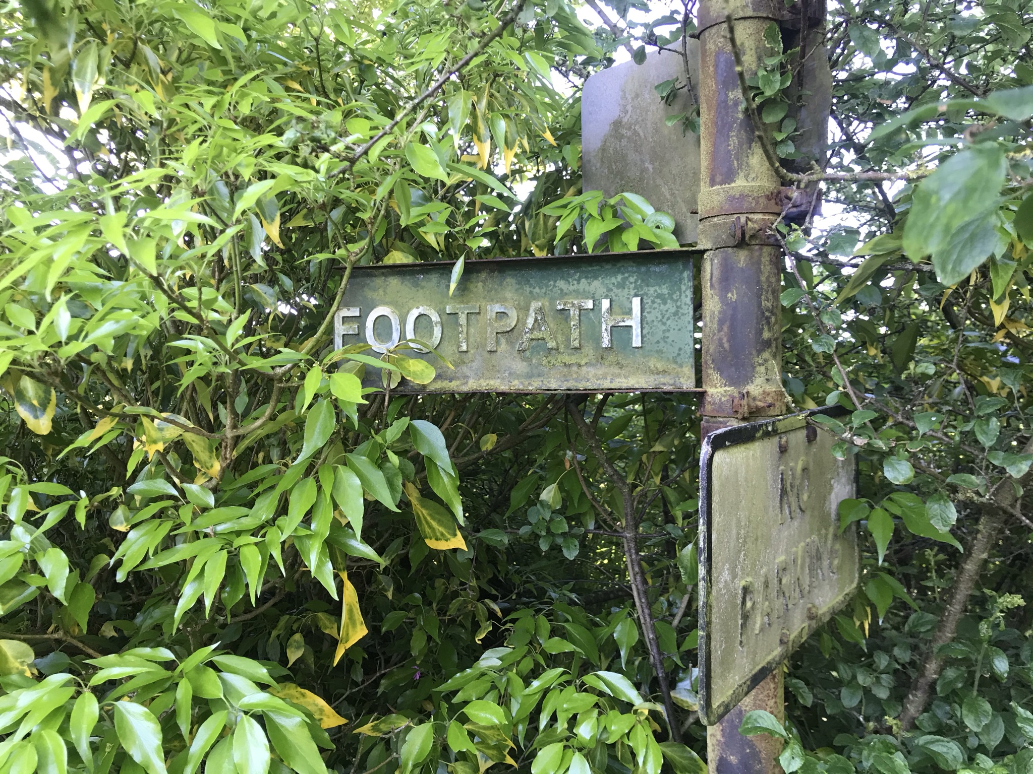 An old metal footpath hidden in a bush