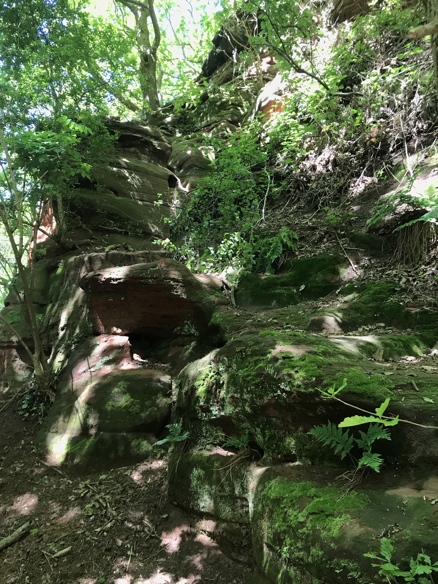 Worn sandstone steps up the cliff. It is very overgrown.
