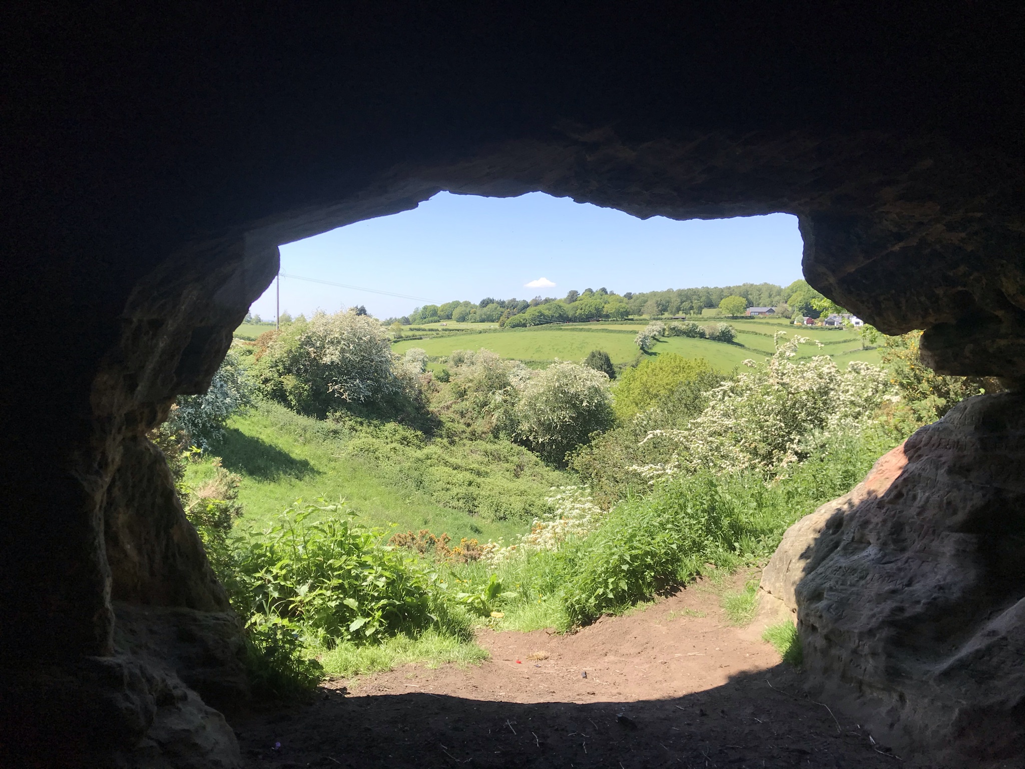Rolling fields and Hawthorn bushes covered in white flowers frames by the entrance to a cave