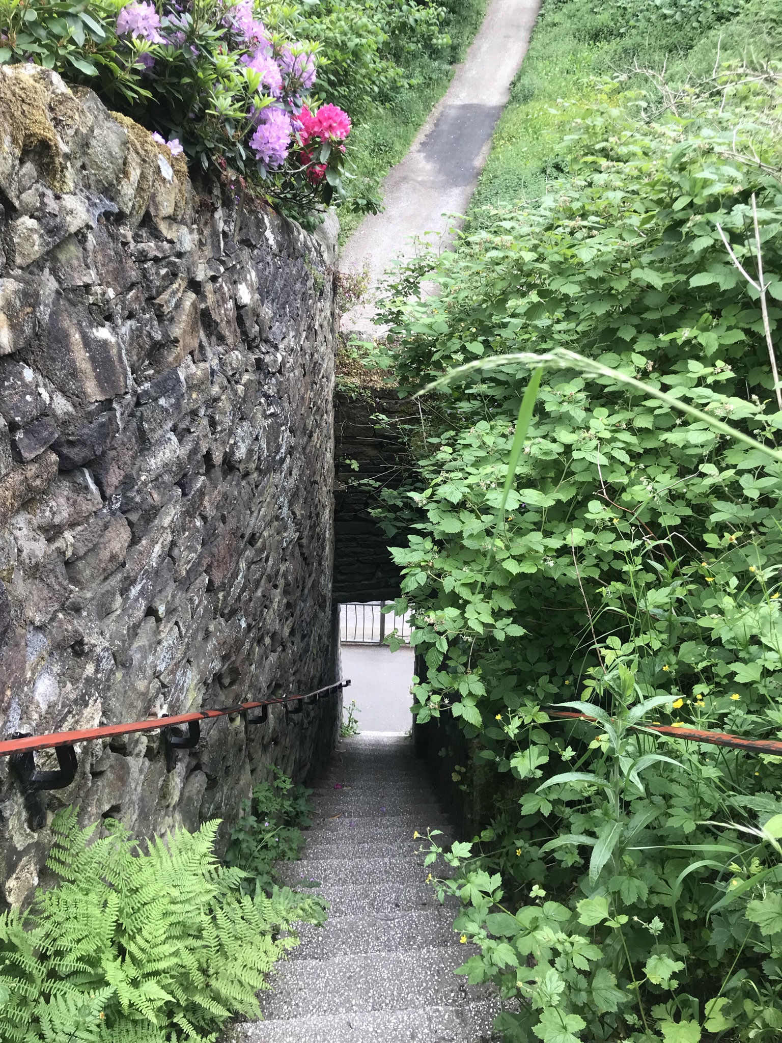 VERY steep steps with a stone wall on one side and greenery on the other head down to a road.