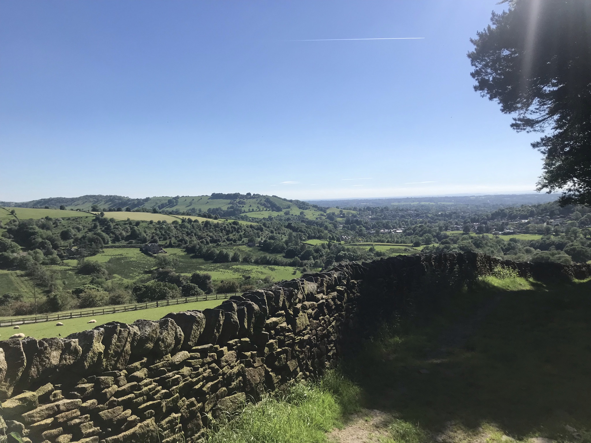 A clear blue sky above rolling green hill and trees, in the foreground is a drystone wall with sheep in the field behind