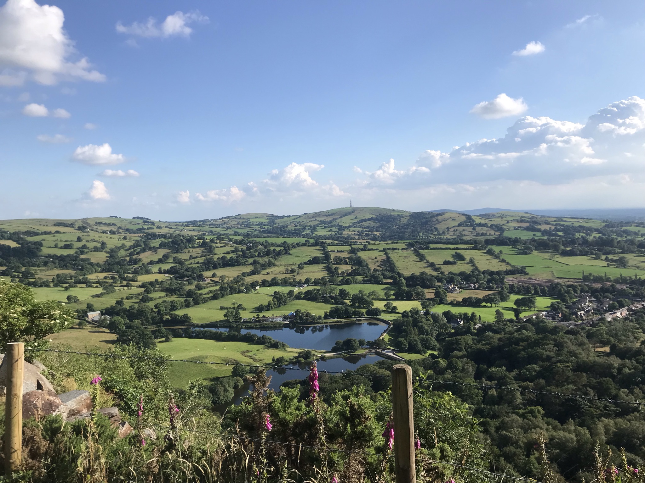 A patchwork of green fields and trees looking towards a low ridge line of hills.