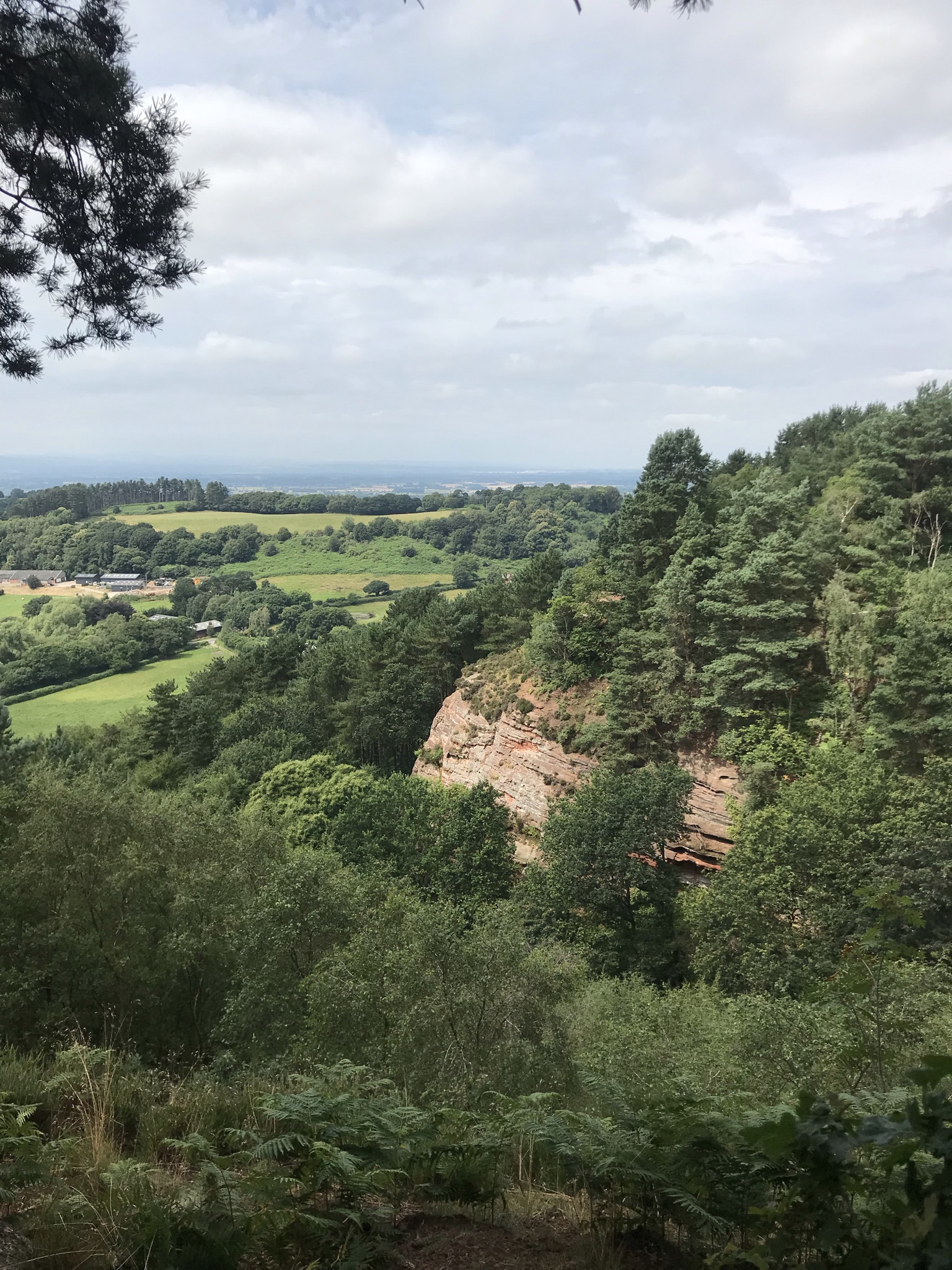 a long hazy view over tree-topped sandy cliffs