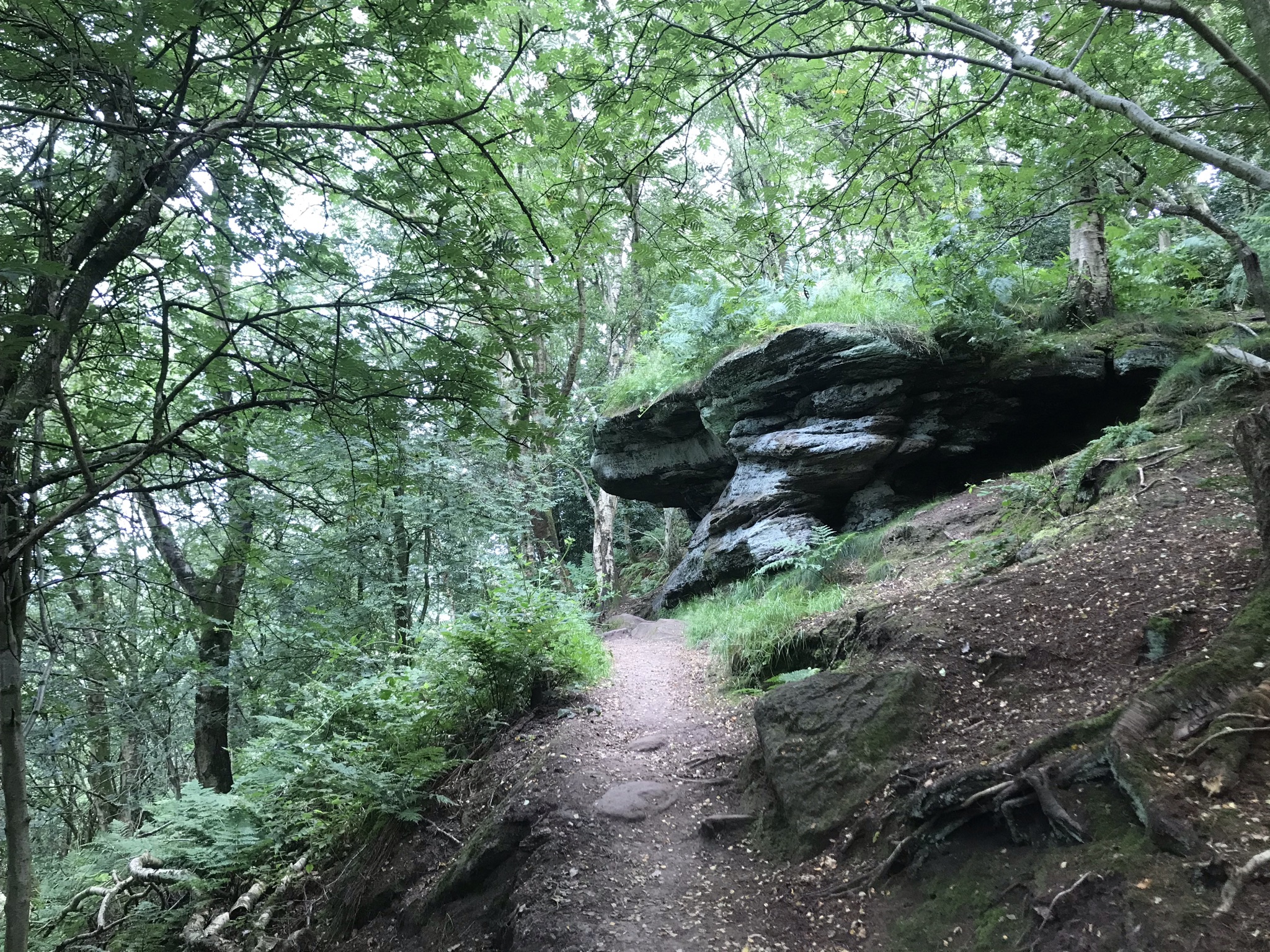 An outcrop of sandstone overhangs the path through trees on a steep hill