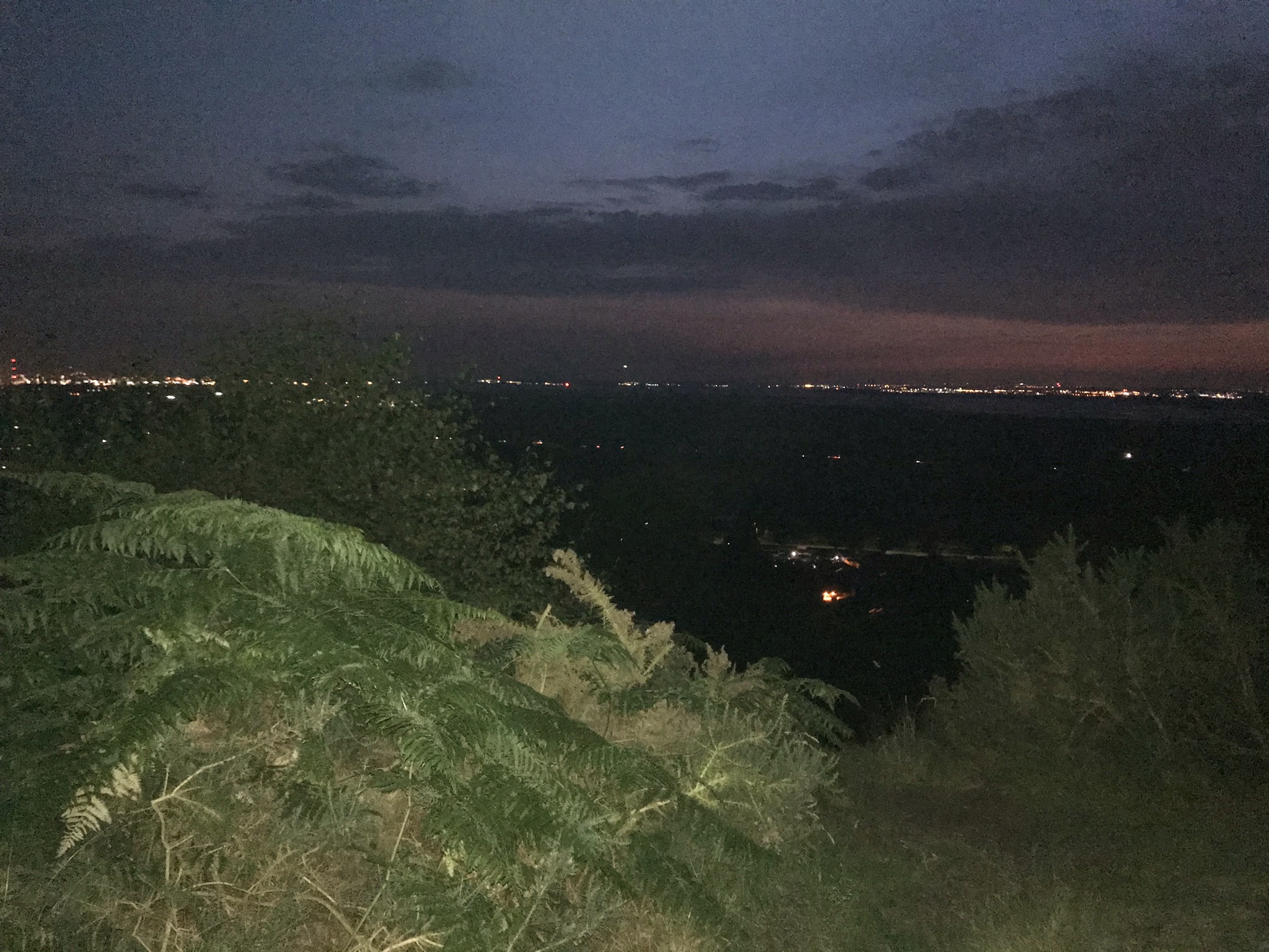 A grainy night photo with bracken in the foreground and distant lights