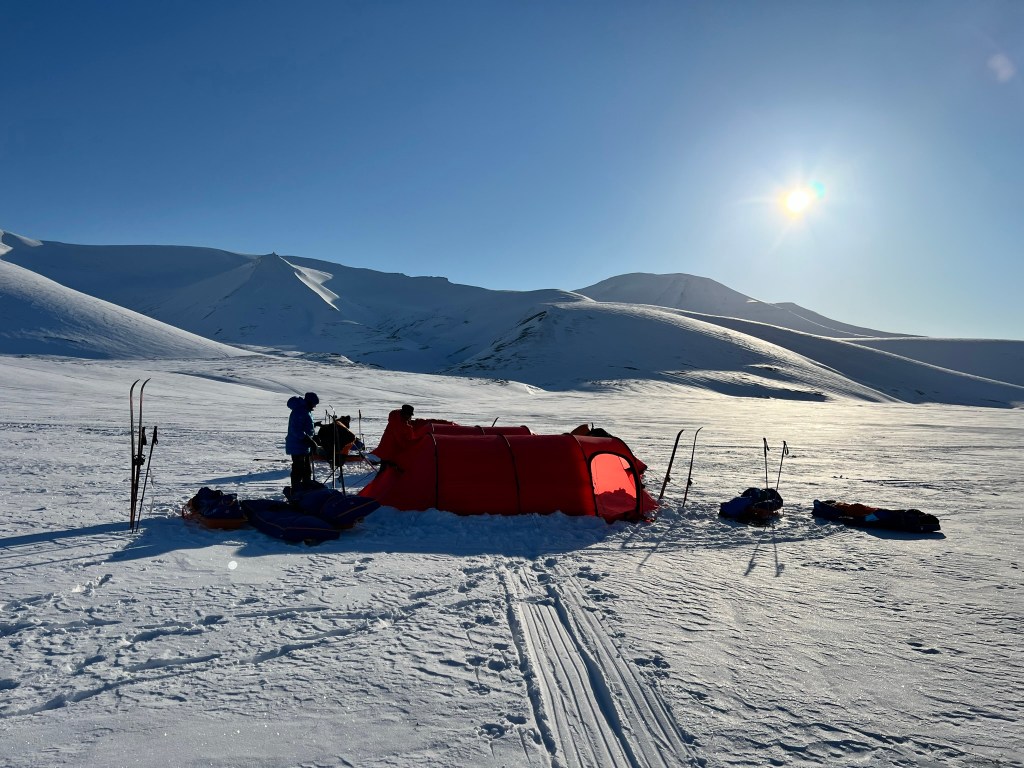 A row of bright red tents with the sun in the sky