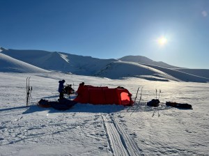 A row of bright red tents with the sun in the sky